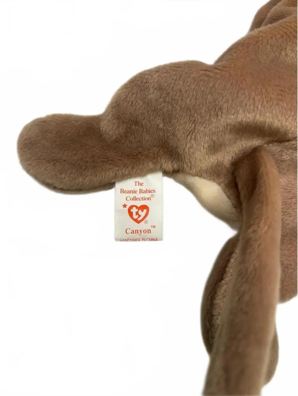 Ty Canyon Beanie Baby Full Size 9